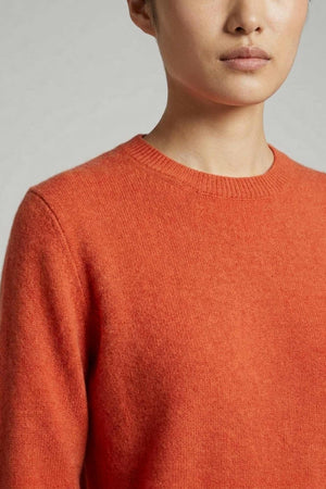 Orange Pure Cashmere Crew Neck Sweater in Plain Stitch