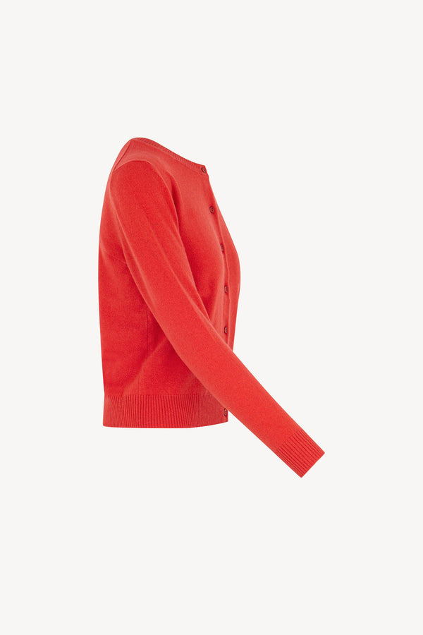 Cardigan Girocollo con gros-grain in Puro Cashmere Bitter