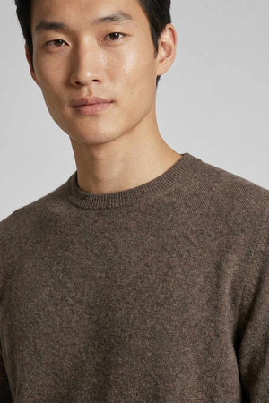 Bark Brown Pure Cashmere Round Neck Pullover