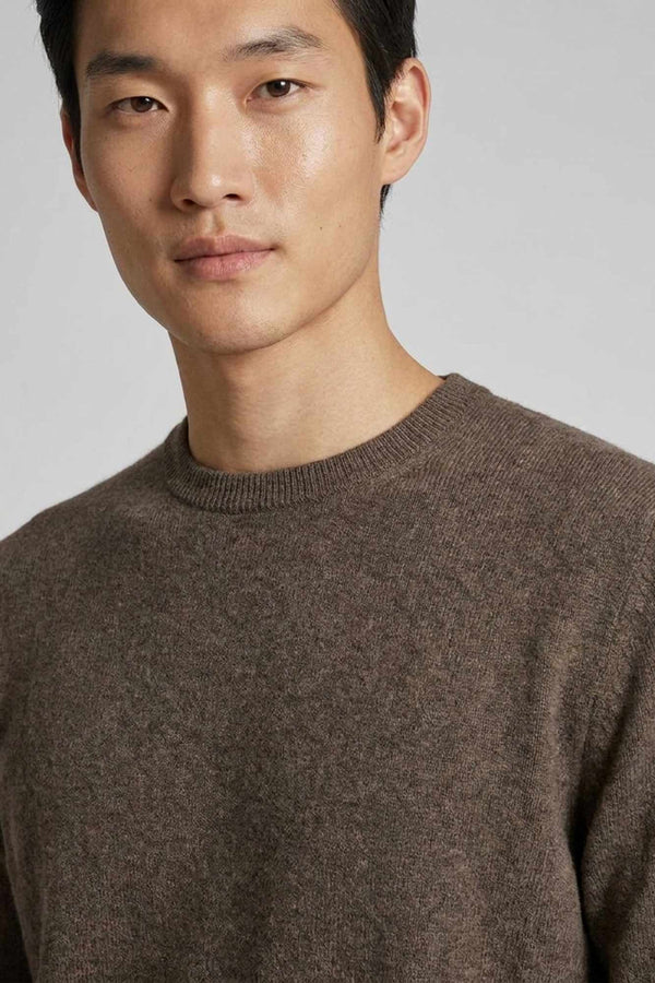Bark Brown Pure Cashmere Round Neck Pullover